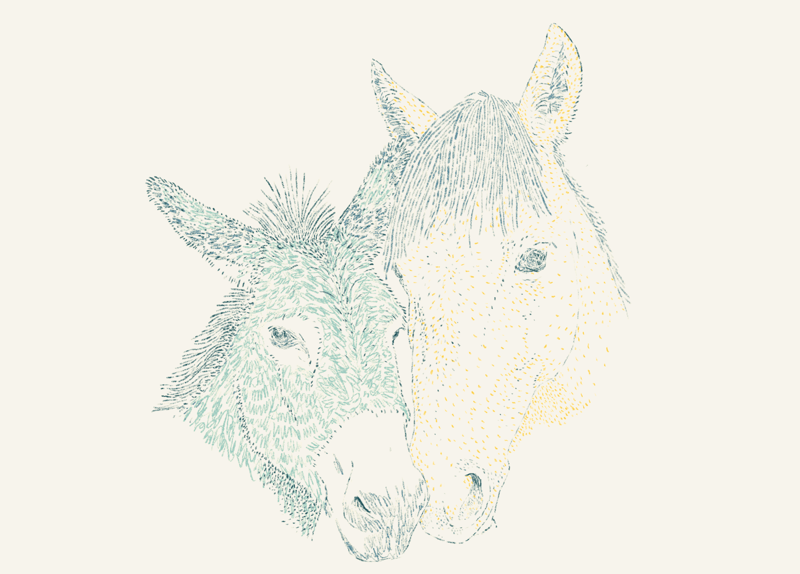 Donkey nd horse