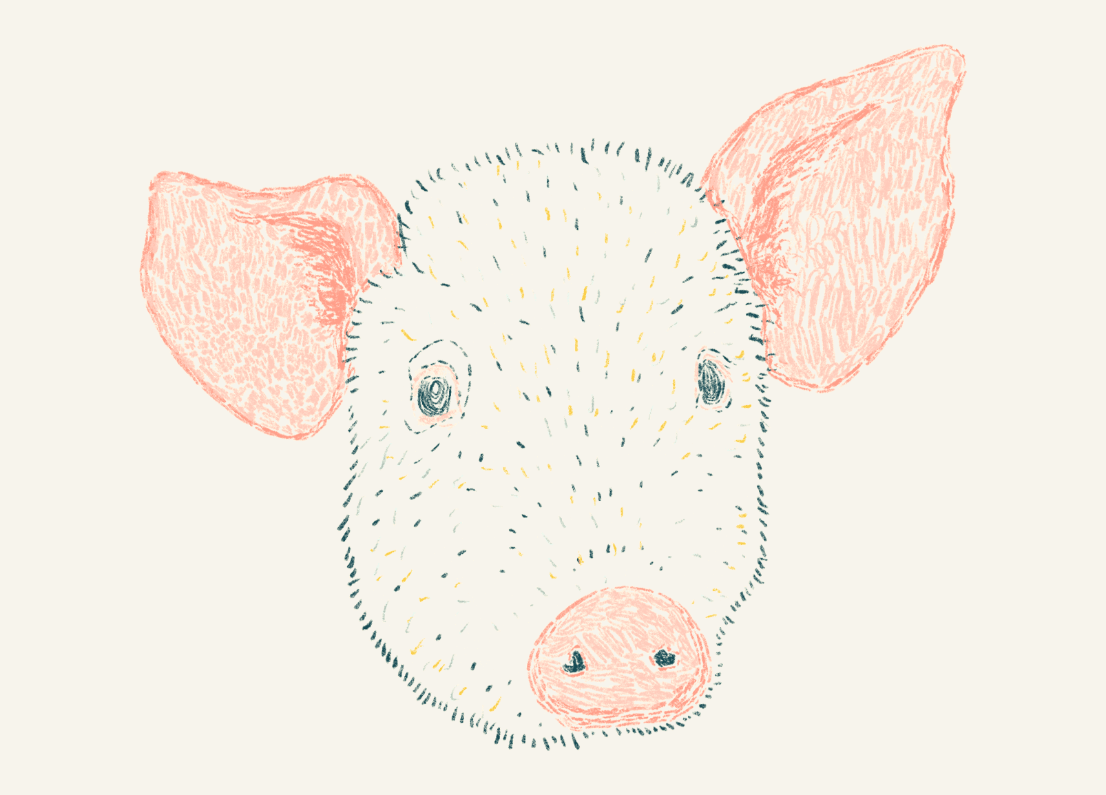 Pig