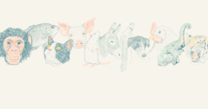 Website blog header