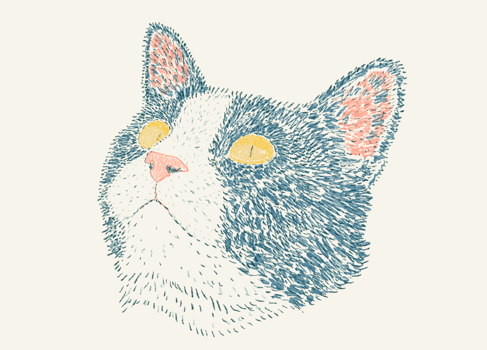 Catt