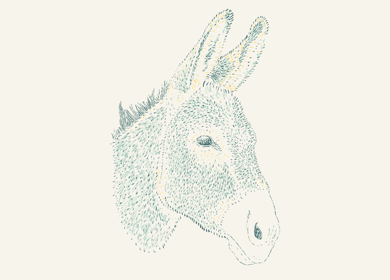 Donkey