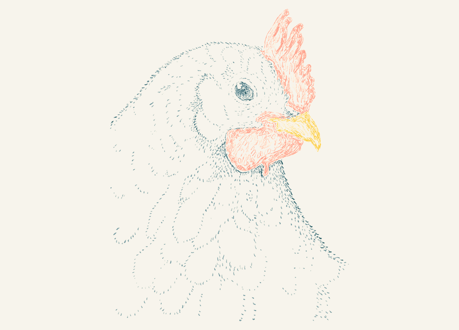 Hen